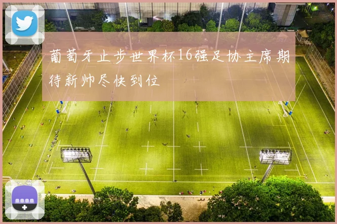 葡萄牙止步世界杯16强足协主席期待新帅尽快到位